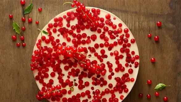 Sernik na zimno z porzeczkami i galaretką z cydru