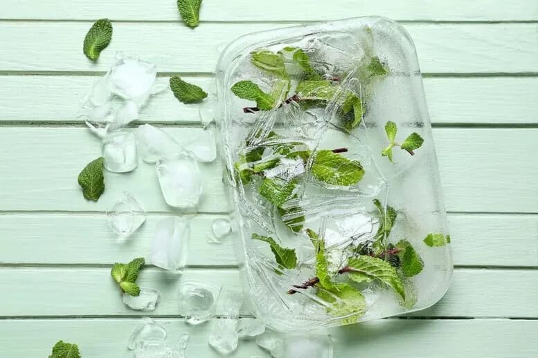 Jak prawidłowo mrozić miętę - skuteczne sposoby na długie przechowywanie