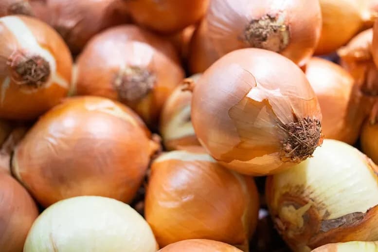 Czy można mrozić cebulę? Przygotowanie, metody i czas przechowywania